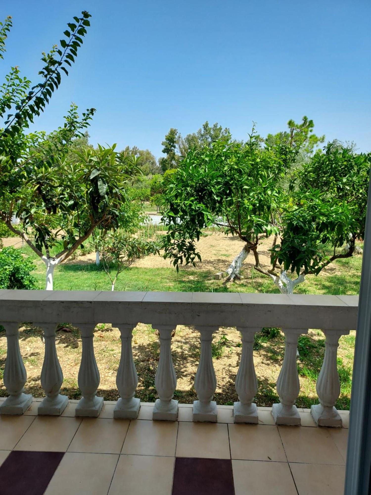 Canditas Studios Tsilivi  Exteriör bild