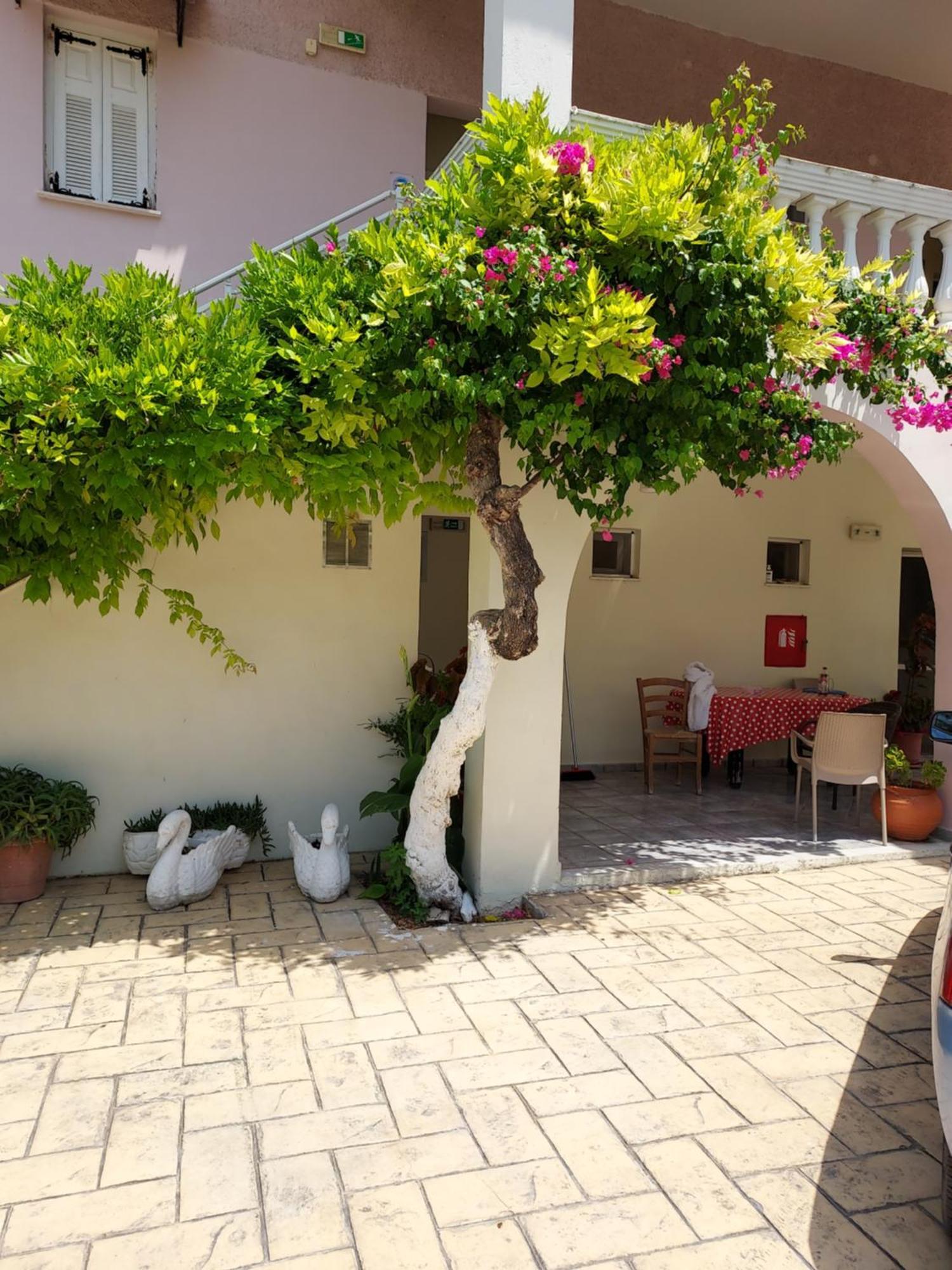 Canditas Studios Tsilivi  Exteriör bild